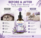 Kitly Calm Cat Calming Drops for Cats, with Valerian, Ashwagandha, L-Theanine, Helps to Manage Stress & Anxiety, Improving Sleep Quality, Help Curb Destructive Behavior, Rapid Absorption, 2floz