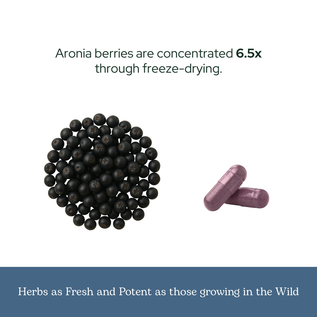 Eclectic Institute Raw Freeze-Dried Organic Aronia Berry Capsules | Supports Heart, Immune System, Digestive, and Urinary Tract Health | 90 CT (450 mg)