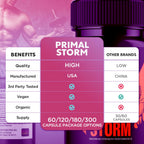(5 Pack) Primal Storm Capsules, PrimalStorm Pills for Men with All Natural Ingredients, Advanced Formula Men's Health and Wellness Support Pill, Maximum Strength Multivitamin Supplement (300 Capsules)