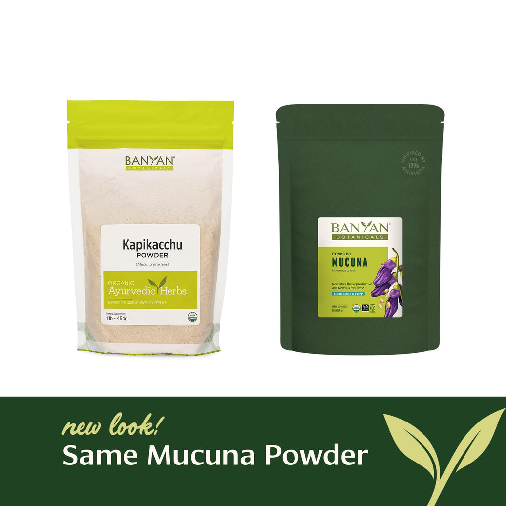 Banyan Botanicals Kapikacchu Powder, 1 Pound - USDA Organic - Mucuna pruriens - Natural Source of L-dopa*