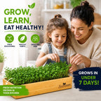 Microgreens Growing Kit - Self-Watering Tray with US Premium Seeds