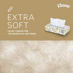 Kleenex® Professional Facial Tissue, Bulk (21606), 2-Ply, White, Flat Facial Tissue Boxes for Business (125 Tissues/Box, 48 Boxes/Case, 6,000 Tissues/Case)
