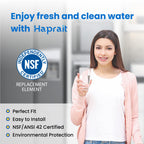 Haprait HP005 Replacement for Frigidaire ULTRAWF, Pure Source Ultra, Kenmore 9999, 469999, 46-9999, A0094E28261 Water and Ice, Height 11 inches, 2 Count