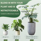 Upgrade Stackable Monstera Plant Support,2026 New Durable Garden Plant Support Stakes for Indoor Outdoor Potted Plants,Garden Accessories Plant Sticks for Vine Training Stem Stabilization (5, Green)