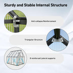 6x8 FT Greenhouse with Hygrometer, Windproof Warm Plant Green Houses