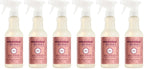 Mrs. MEYER'S CLEAN DAY All-Purpose Cleaner Spray, Limited Edition Rose, 16 fl. oz - Pack of 6