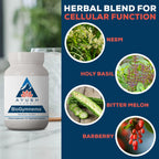 Ayush Herbs BioGymnema, Metabolic Vitamin & Herb Blend, 90 Servings
