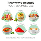 EverSmith Organics - Wildcrafted Irish Sea Moss Gel | Made in USA | Rich in Vitamins & Minerals | Sea Moss Gel Raw | Nutritional Supplement | Strawberry (16 oz)