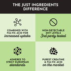 JUST INGREDIENTS Creatine Monohydrate Powder with Rejen Fulvic Mineral Complex - Supports Muscle Recovery, Energy, Strength, Cognitive Function - 30 Servings