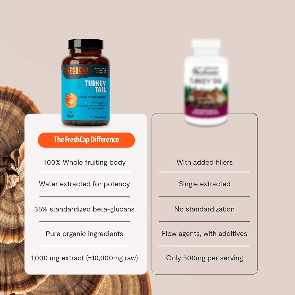 FreshCap Mushrooms Premium Organic Turkey Tail Supplement Capsules - 10:1 Fruiting Body Extract with 35% Beta-Glucans - 3rd-Party Tested - Supports Daily Immunity and Gut Resilience (120 Capsules)