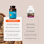 FreshCap Mushrooms Premium Organic Turkey Tail Supplement Capsules - 10:1 Fruiting Body Extract with 35% Beta-Glucans - 3rd-Party Tested - Supports Daily Immunity and Gut Resilience (120 Capsules)