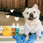 earthbath Oatmeal & Aloe Itch Relief Dog Shampoo, 16 Oz (1 Pack)