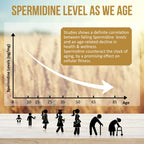 Thalacy Spermidine Supplements 13mg - 1300mg Wheat Germ Extract Capsules Potent Formula with Higher Spermidine Content and Zinc for Healthy Aging, Daily Immune System and Cell Renewal, 120 Capsules
