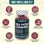 Simply Healthy Premium Sea Moss Gummies, Irish Sea Moss Supplement with Bladderwrack and Burdock Root, Vegan Support Detox Gummies, Plant-Based Wellness, for Gut Health, Superfood 60ct