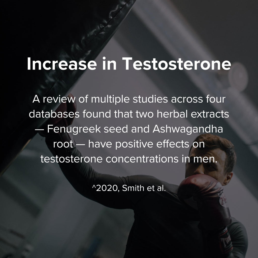 STRIVLABS Peak Potential 12-in-1 Testosterone Support for Men – Fenugreek, Ashwagandha & Tongkat Ali – Natural Strength, Energy & Muscle Builder – 90 Capsules