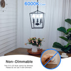 MAXvolador E12 LED Candelabra Light Bulbs 60W Equivalent, Cool White 6000K 600 Lumens Chandelier Bulb, 6W B11 Candle Base, Non-Dimmable, Pack of 6