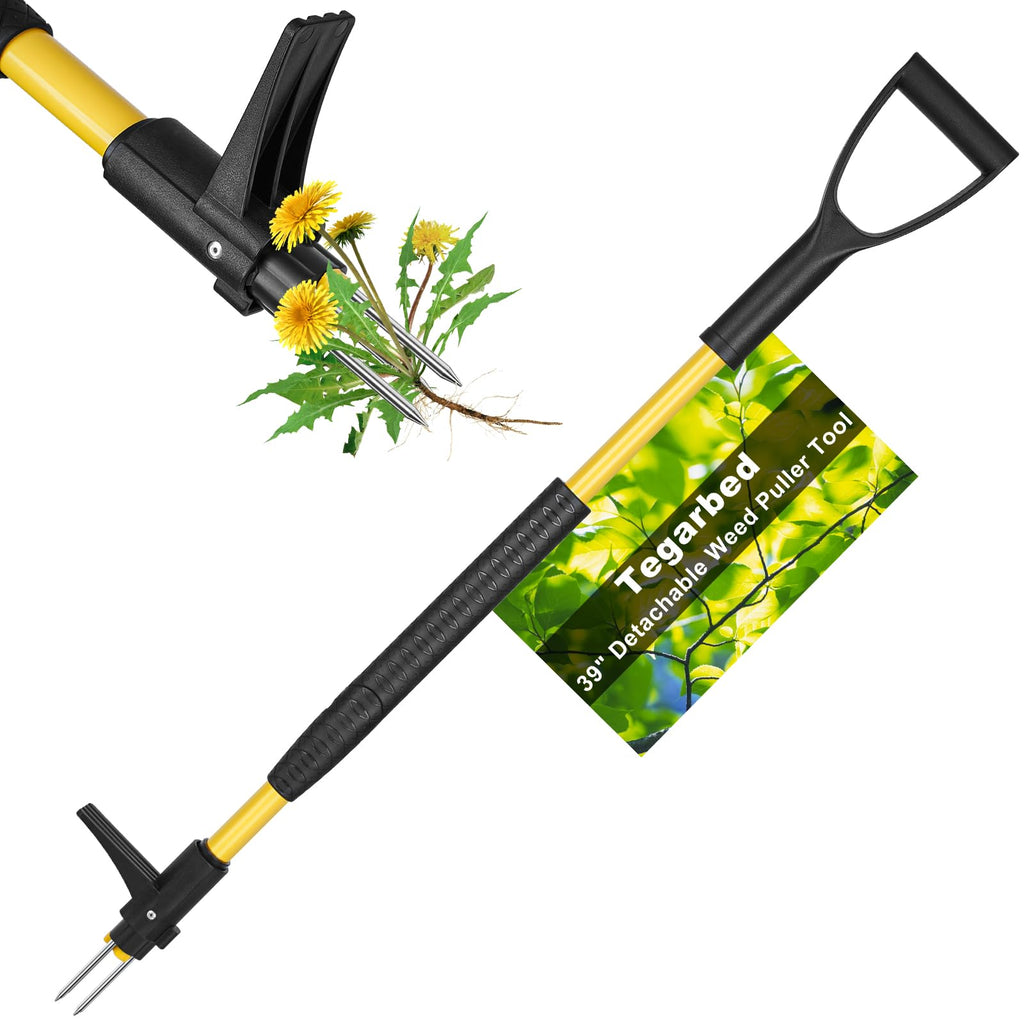 Tegarbed 39" Stand Up Weed Puller Tool - Heavy Duty Detachable 3-Claw Weeder with Ergonomic Long D-Handle | Tools for Effortless Garden Weed Removal (Dandelions, Thistles & More)