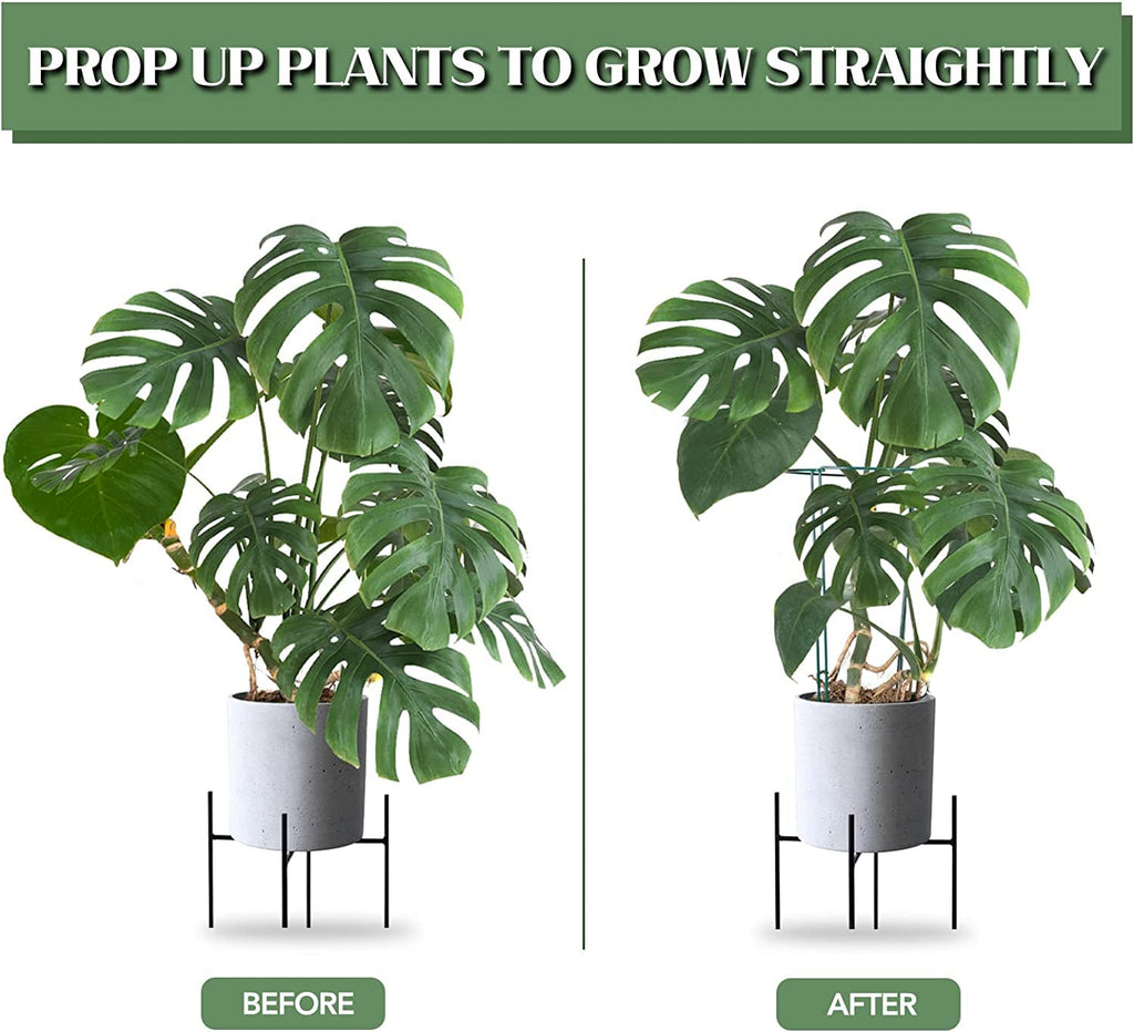 12 Pack 24 Inch Tall Snake Plant Support Stakes with 15 Twist Ties