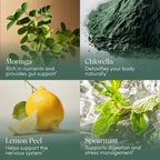 Apothékary Your Wildest Greens Herbal Liquid Drops, All-in-One Daily Superfood Supplement, Vitamin & Mineral Support, 5X Potency of Greens Powders, Sugar Free, Made in the USA, 1 Fl oz, 15 Servings