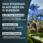 TUVAAZ PURELYNUTRIENT Ethiopian Black Seed Oil Capsules with 4.64% Thymoquinone, Immune Support & Digestion & Energy Booster, Non-GMO, Gluten-Free, 60 Count