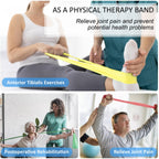 Exercise Bands Set with Handles - Latex Free Resistance Bands for Stretching, Workout, Rehab, Yoga, Pilates, Gym, Home Exercise