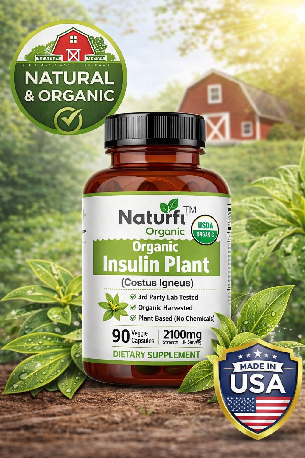 Naturfi Organic- Insulin Plant Capsules (Costus Igneus), USDA Organic | 100% Natural Supplement, 90 Veggie Caps (1 Month Supply) - Insulin Plant