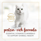 Fancy Feast Tender Beef Feast Classic Grain Free Wet Cat Food Pate