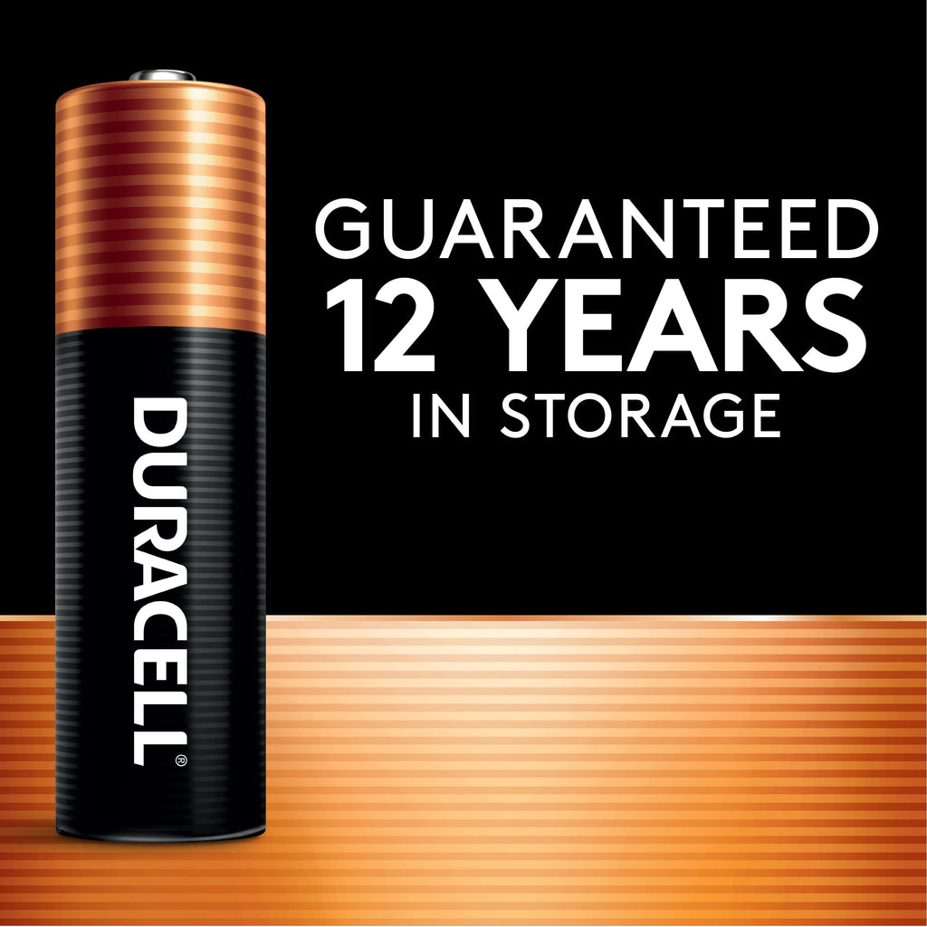 Duracell Coppertop AAA Batteries with Power Boost Ingredients, Triple A Batteries, 2 Count (Pack of 1) for Household and Office Devices, Alkaline AAA Battery