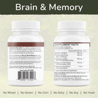 Vinco Inc - Brain & Memory Cognitive Support Daily Supplement | (60 Capsules) | Supports Focus, Memory & Processing | Made w/Amino Acids & Herbal Extracts | Gluten Free