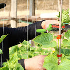 FUNTECK Easy & Fast Plant Tying Machine for Tomatoes, Grapes, Cucumbers - Professional Tying Tool Saves Labor with Spare Tapes and Staples, Green/Black