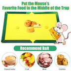 48 Pack Mouse Glue Traps Large Size Mouse Traps Sticky Pad with Enhanced Stickiness Pest Rat Sticky Traps Board for Rodent Cockroach and Other Insects House Indoor Outdoor