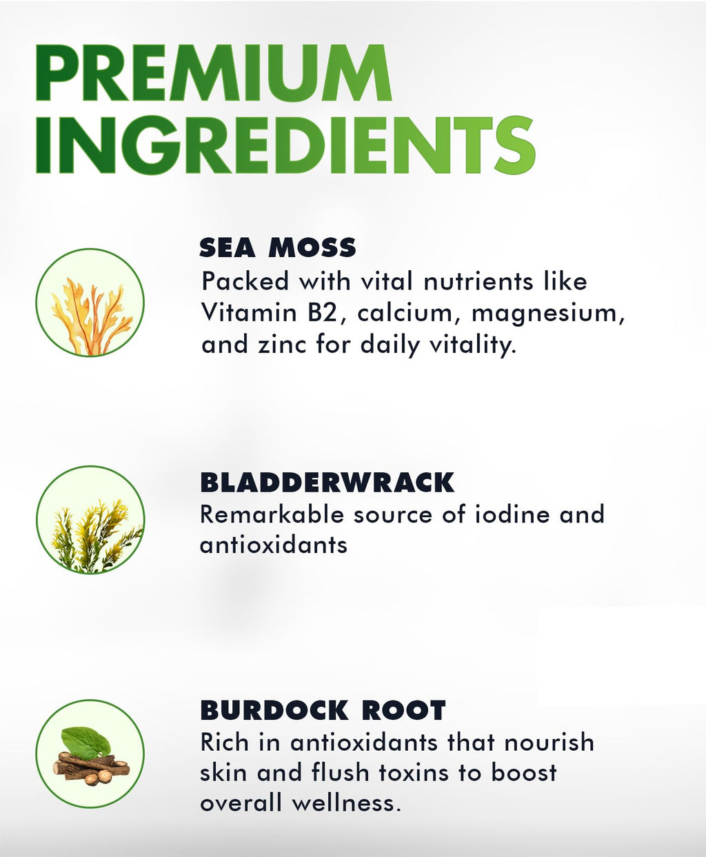 Sea Moss Gummies - Irish sea Moss raw Organic, Bladderwrack, Burdock Root. Contains Sea Moss Gel and Powder. Superfoods for Vegan, Keto and Dr Sebi Diet. Immune Boosting (1, Original)