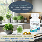Kappa Nutrition Powered by Magbrain™ Magnesium L-Threonate Plant-Based, 90 Vegan Capsules, 420mg Elemental Magnesium (3 Capsules) from 2,253mg, Brain, Sleep & Muscle Support.