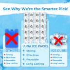 Dry Ice Packs for Shipping Cubes - Long Lasting ice Packs - 24+ Hour Freeze Power - BPA Free - 1200 Pack Bulk 75 lb – Hielo Seco - Reusable Gel Bricks for Food