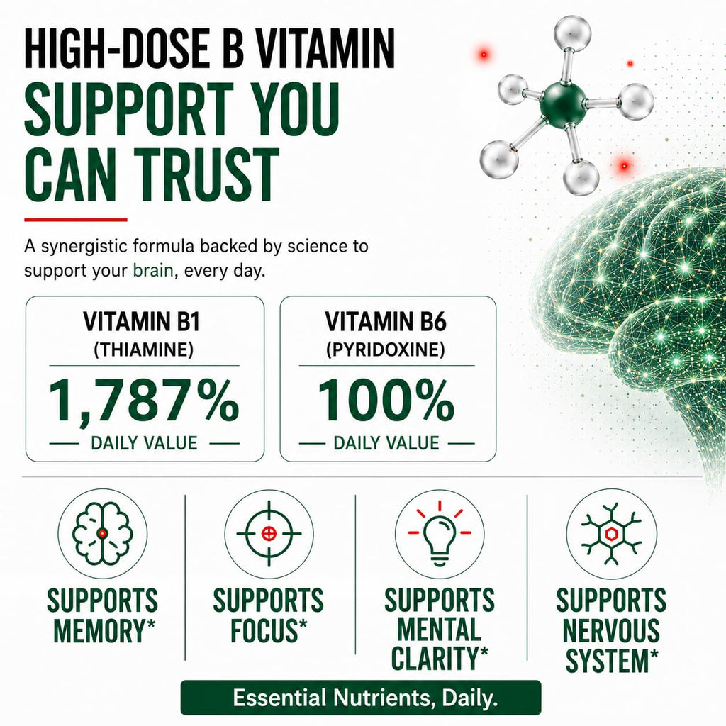 Fitina Brain Supplements for Memory and Focus with Vitamin B6 & Thiamine — High-Dose B Vitamins Nervous System and Cognitive Health Support, Daily Supplement Formula for Adults, 100 Tablets (2-Pack)