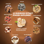 Suiyilary Mushroom Coffee, 10 Mushroom Extract Powder Blend Lion's Mane, Reishi, Chaga, Cordyceps, Turkey Tail, Brain Supplements with Instant Coffee for Energy, Focus, Memory and Immunity 300g
