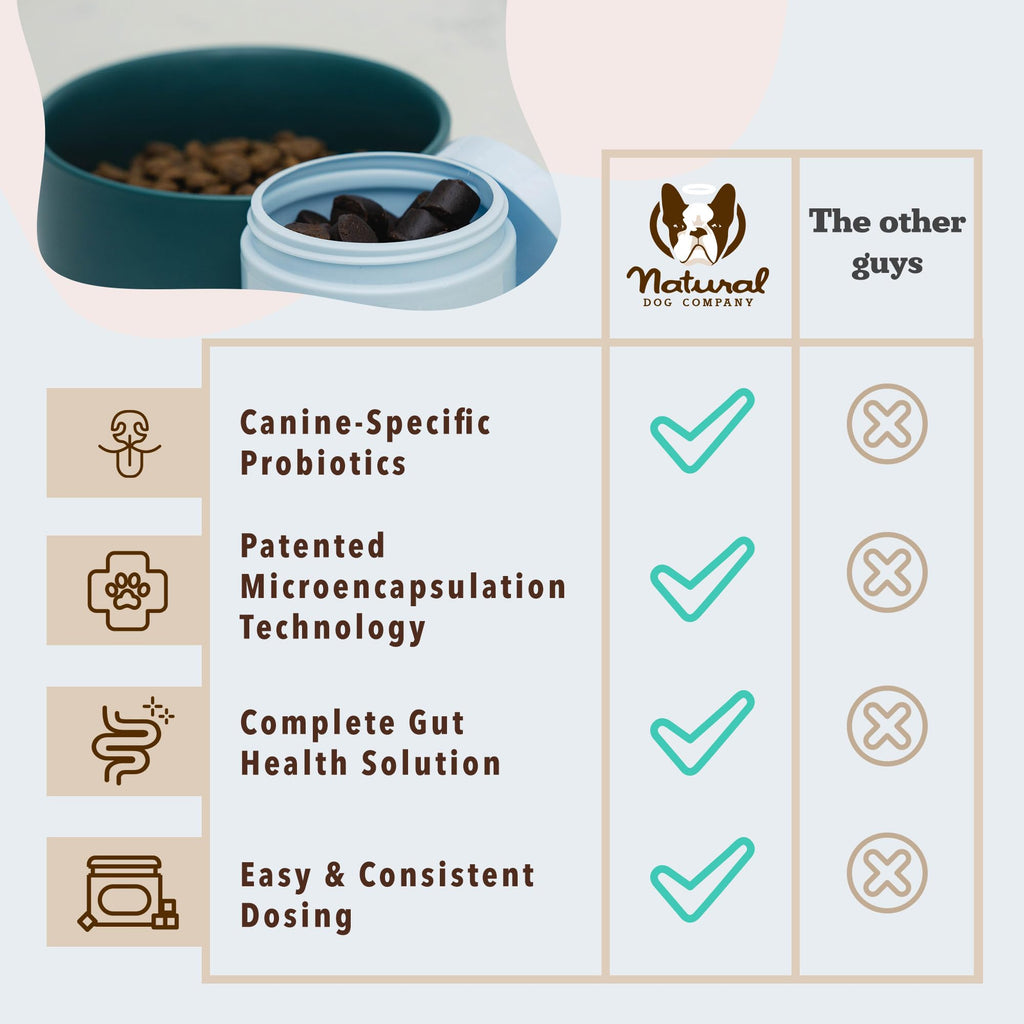 Natural Dog Company Probiotic Chews (90 Bites), Chicken Flavor, Helps with Digestion, Supports Immune System, Probiotics Supplement for Dogs of All Ages, Sizes & Breeds.