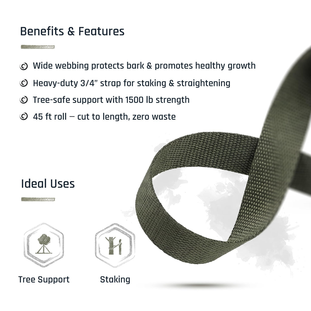 Tree Straps for Staking, Tree Ties for Plant Support, 3/4 Inch Width Guying Material Webbing Garden Strap for Outdoor Tree Straightening, 1500 Lbs Strength (Army Green) - 100 Feet
