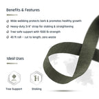 Tree Straps for Staking, Tree Ties for Plant Support, 3/4 Inch Width Guying Material Webbing Garden Strap for Outdoor Tree Straightening, 1500 Lbs Strength (Army Green) - 100 Feet