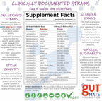 Gut Mate® Probiotics - Clinically documented Strains - 15x More Effective Than Standard Capsules- Patented BIO-Tract® Micro Pearls - Vegan, Vegetarian, Dairy-Free - Room Temp Stable