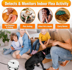 2 Pack Flea Traps for Inside Your Home, Indoor Flea Traps with 8 Sticky Pads, Flea Monitoring Trap for Home, Sticky Insect Catcher for Fleas, Moths & Gnats