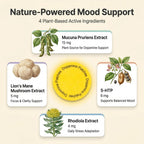 Woertru Dopamine Patches Extra Strength – 90 Count Plant-Based Vegan Mood Balance Patch for Men & Women – Supports Dopamine & Serotonin Balance – 3 Months Supply