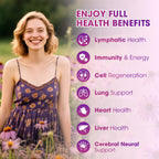 Lymphatic Drainage Drops Supplements for Immune, Lymph System Support, Cleanse & Detox, Liver Health with Echinacea,Elderberry,Cleavers Herb,Burdock, Calendula, Vegan, Non-GMO,Natural Flavor, 2 Fl Oz