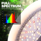 Barrina Hanging Grow Light Bulbs for Indoor Plant, 25W Full Spectrum, Timer