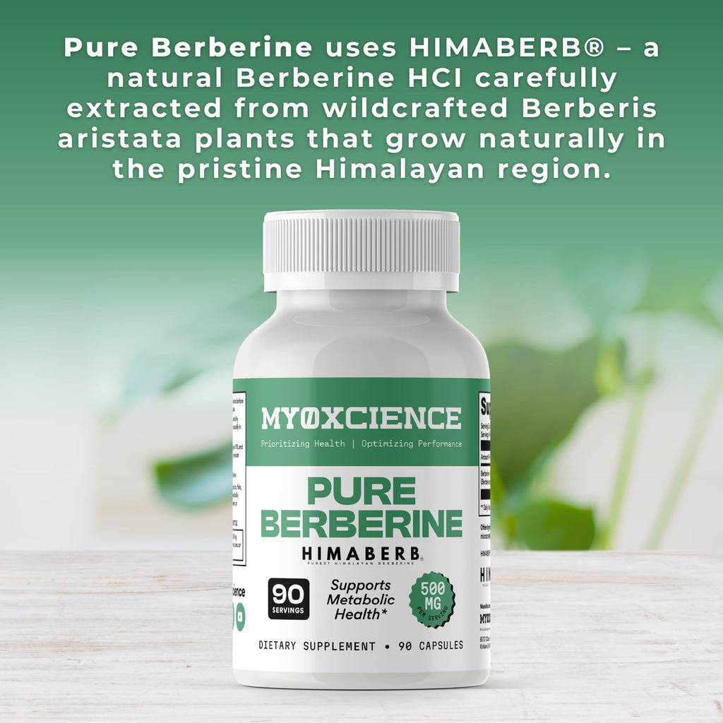 MYOXCIENCE Pure Berberine Himaberb | 500 mg of Berberine HCl per Serving | 90 Servings