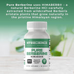 MYOXCIENCE Pure Berberine Himaberb | 500 mg of Berberine HCl per Serving | 90 Servings