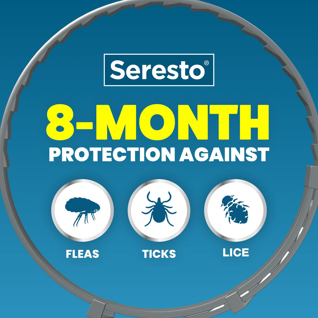 Seresto Small Dog Vet-Recommended Flea & Tick Treatment & Prevention Collar for Dogs Under 18 lbs | 8 Months Protection