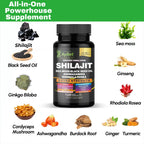 AyBet Shilajit for Men and Women-Organic Himalayan Shilajit Capsules with Sea Moss, Black Seed Oil, Ashwagandha, Rhodiola Rosea, Burdock, Cordyceps Mushroom, Ginseng, Turmeric, Ginger, 120 Capsules