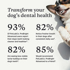 PetLab Co. ProBright Advanced Dental Powder - Dog Breath Freshener - Teeth Cleaning Made Easy – Targets Tartar & Bad Breath - Packaging May Vary - Formulated for Large Dogs
