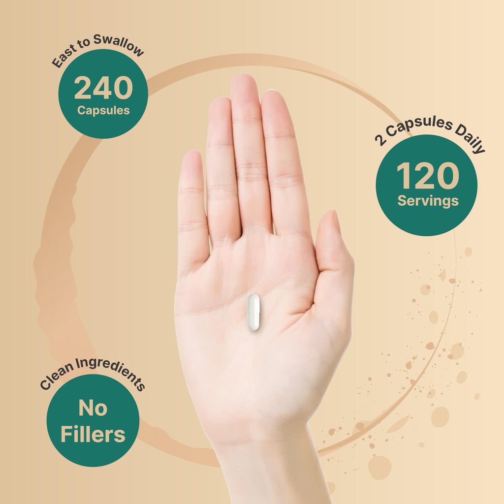 Magnesium Complex 1,000mg, 240 Capsules | Triple Magnesium Complex with Glycinate, Citrate, & Malate | Chelated & Purified for Better Absorption | Filler Free, Non-GMO